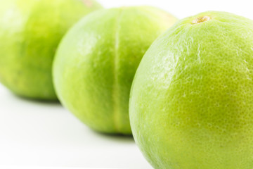 lime background