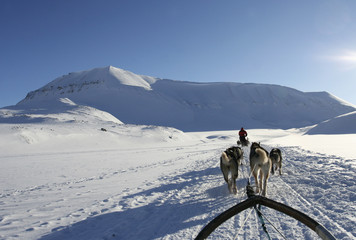 Dogsledding near Longyearbyen, Svalbard archipelago, Arctic.