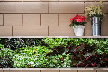 Green small plants and flower