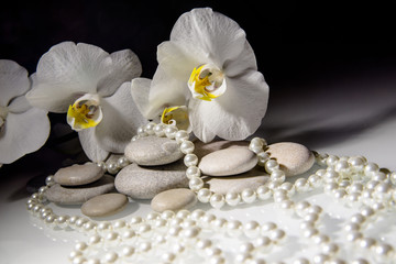 white orchids and pearls lie on the rocks