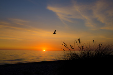 Ostsee