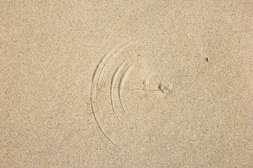 Curved shape at the beach