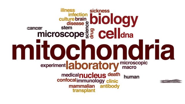Mitochondria animated word cloud, text design animation.