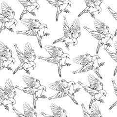 Obraz premium Seamless vector pattern with hand drawn isolated birds in doodle style for your design