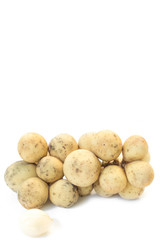 Langsat or wollongong on white background thai fruit.