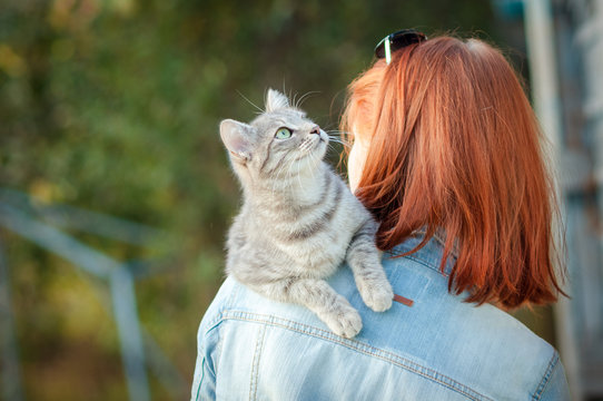Grey tabby cat sitting on a shoulder at the girl