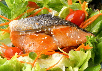 Salmon Salad