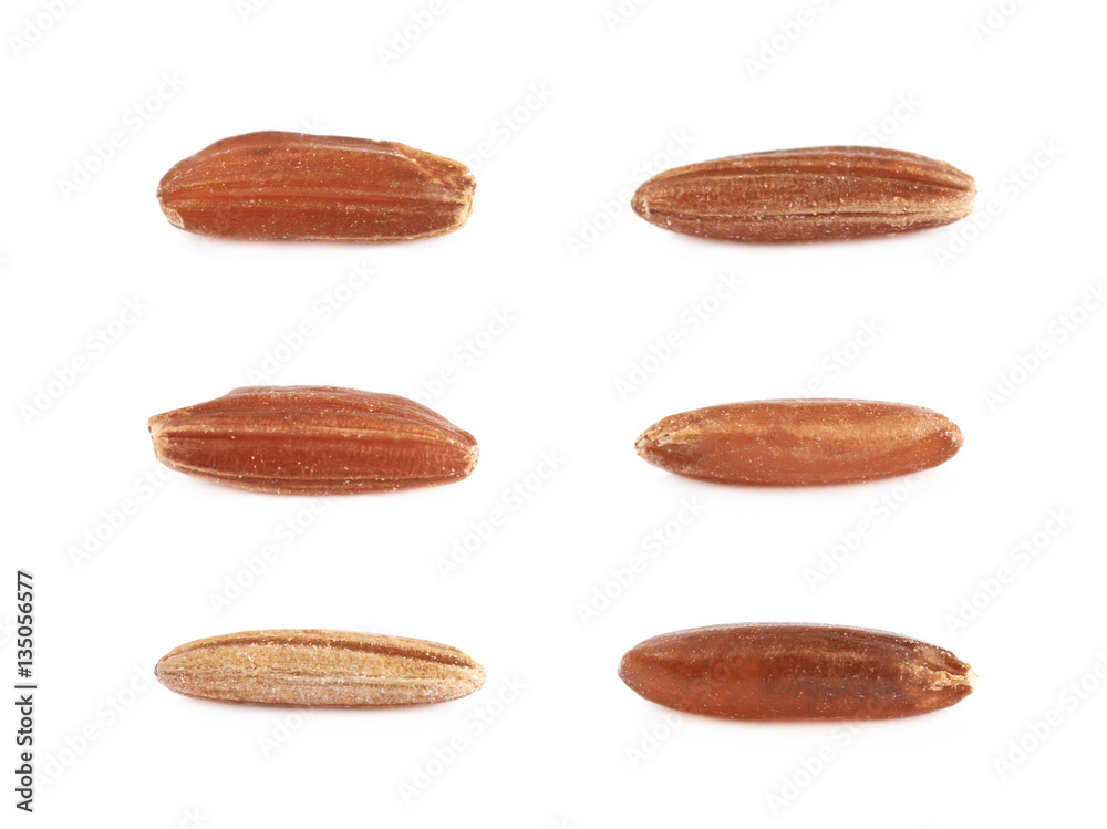 Sticker six single rice grains isolated