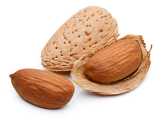 Almond nut isolated