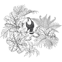 Tropical Plants  and  Sitting Toucan © val_iva