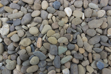 fine natural stone, mulch for landscaping, texture