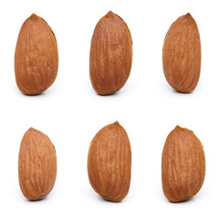 Almond nut isolated