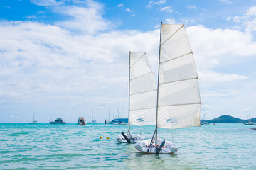 Obraz premium flying ants sailing on the sea