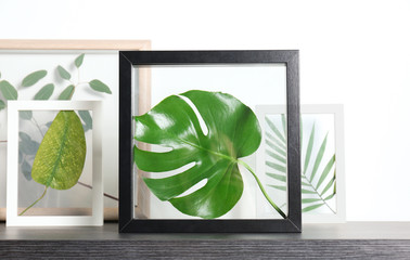 Frames with green leaves on white background