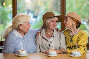 Three senior ladies in cafe. Women talking to each other. The best friends.
