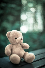 bear doll on the table with dramatic tone