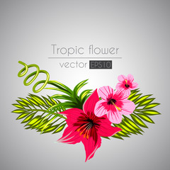 tropical flowers