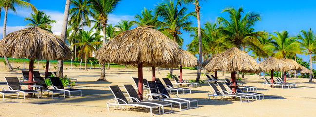 Fototapeta na wymiar palm beach chaise longue