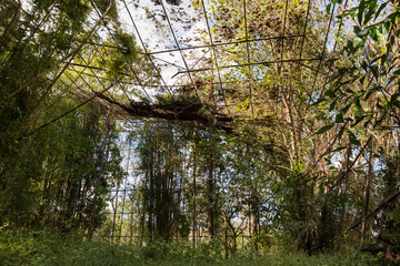 Naklejka premium Giant bird aviary abandoned and deserted, overgrown with strange vines and forgotten by man, giant rusty cage overtaken with plants and covered with weeds