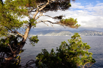 View on sea bay near Portofino town in Liguria, Italy