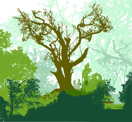 Panoramic forest landscape with big tree, green plants and branches in background. Green, brown and blue silhouettes of trees and plants