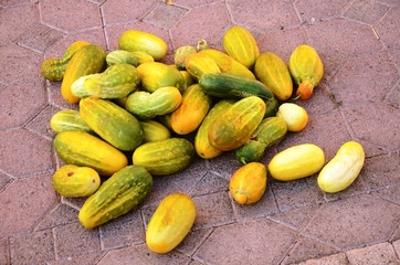 Souk de Nizwa : marché de fruits et légumes (Oman)