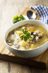 Mushroom soup