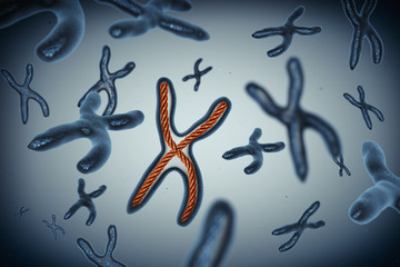 Many Chromosomes. 3d Rendering