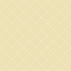 Fototapeta na wymiar Geometric dotted vector light pattern. Seamless abstract modern texture for wallpapers and backgrounds