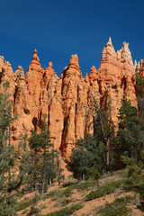 Bryce canyon