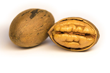 Pecan nuts on a white background