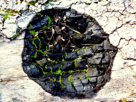 madera quemada