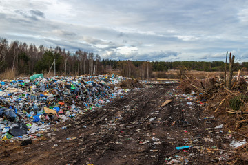 At the city garbage dump