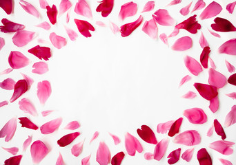 Frame from Pink and Red the petals of peony flowers