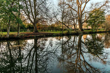 Fototapeta na wymiar River reflections