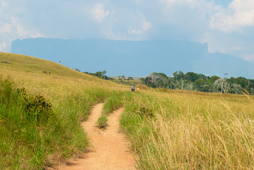 Obraz premium Silhouette of Roraima Mount, Gran Sabana, Venezuela