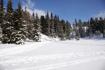 Fototapeta na wymiar Winter in the mountains
