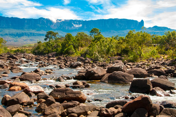 View of Roraima Tepui from Kukenan River, Gran Sabana, Venezuela