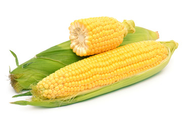 Corn