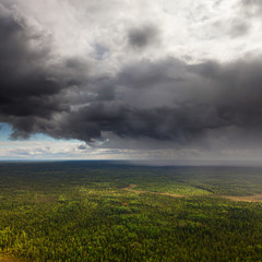 Rain over forest, top view