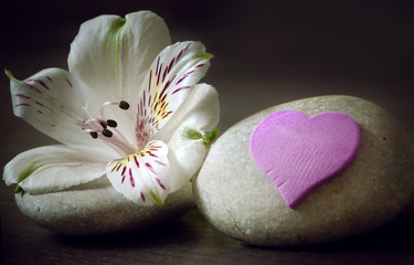 Fototapeta na wymiar Two white stone with flower and heart on a wooden background, spa