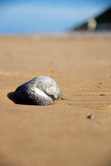 Fototapeta na wymiar Stone on a sandy beach