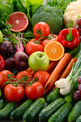 Assorted raw organic vegetables