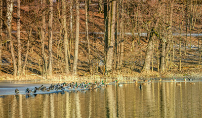 rezerwat przyrody Las Warmiński © Janusz Lipiński