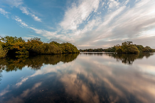 Forest Ponds Symetry