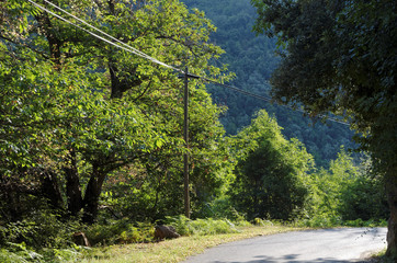 poteaux t&eacute;l&eacute;phoniques en haute corse