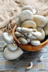 Fresh oyster mushrooms in a wooden bowl.