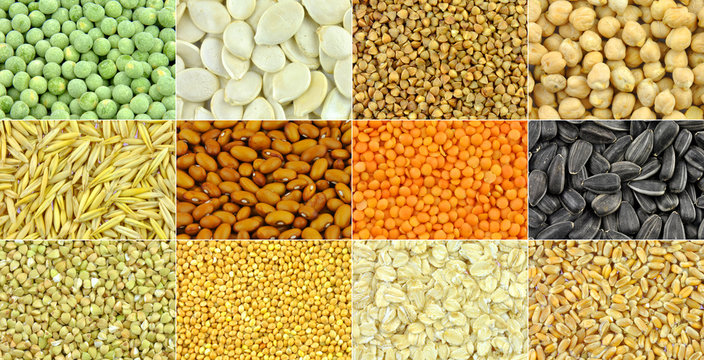 Grains, cereals, seeds and beans - collection