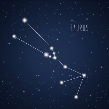 Vector illustration of Taurus constellation on the background of starry sky