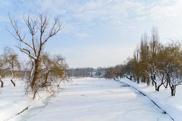 Winter Landscape With Snow And Trees After Blizzard